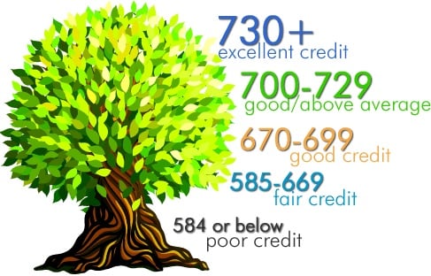 How to get 800 credit score in 45 days?
